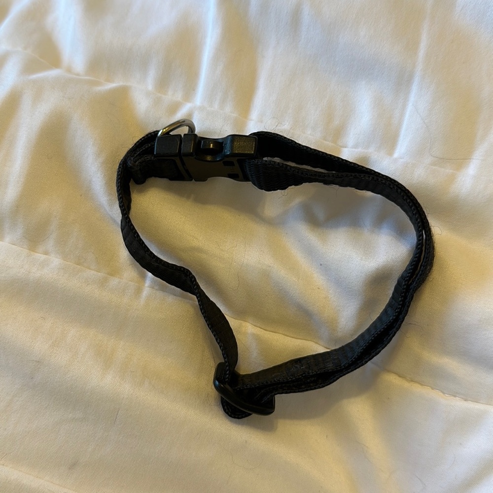Black Dog Collar Size Small